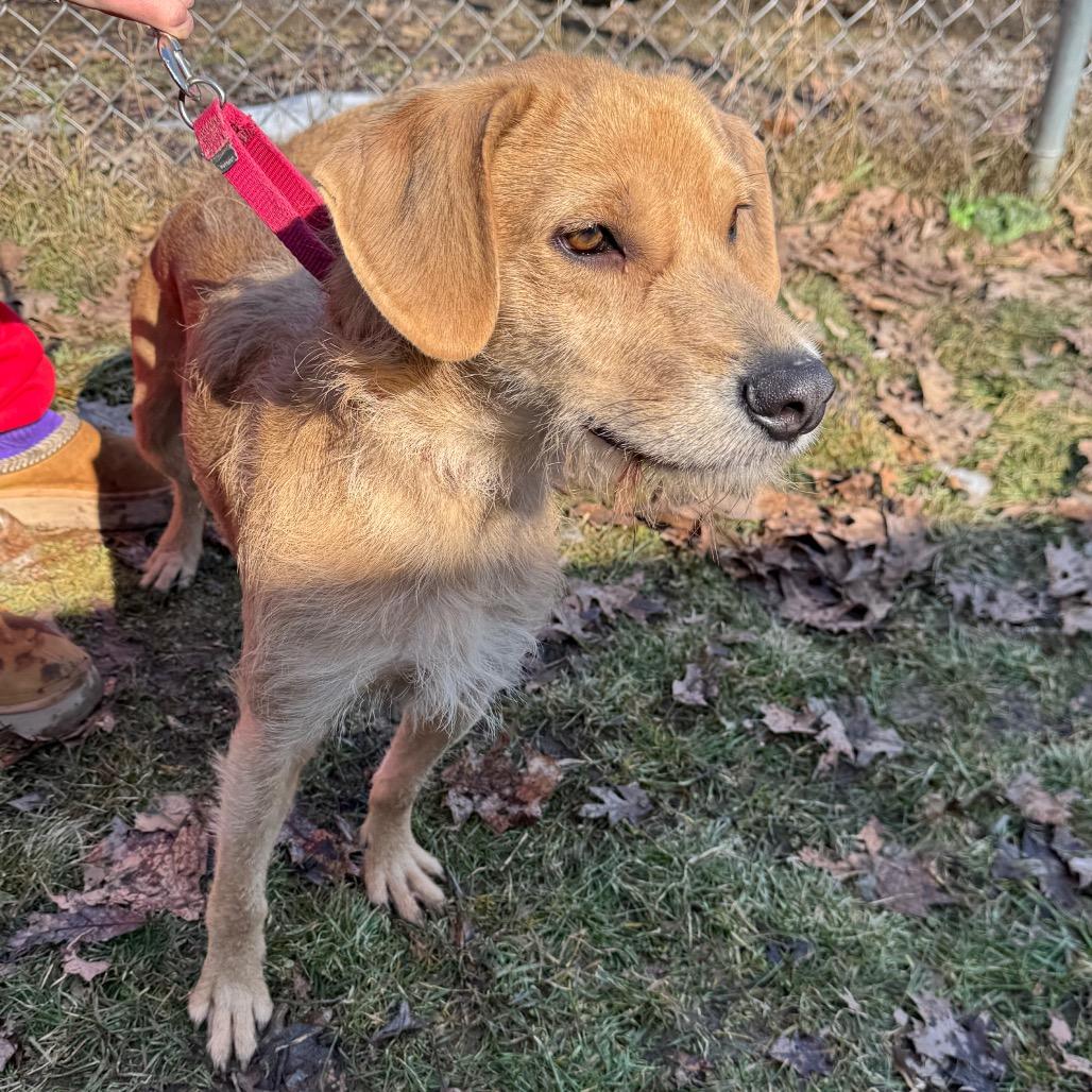 Seneca — thumbnail 3