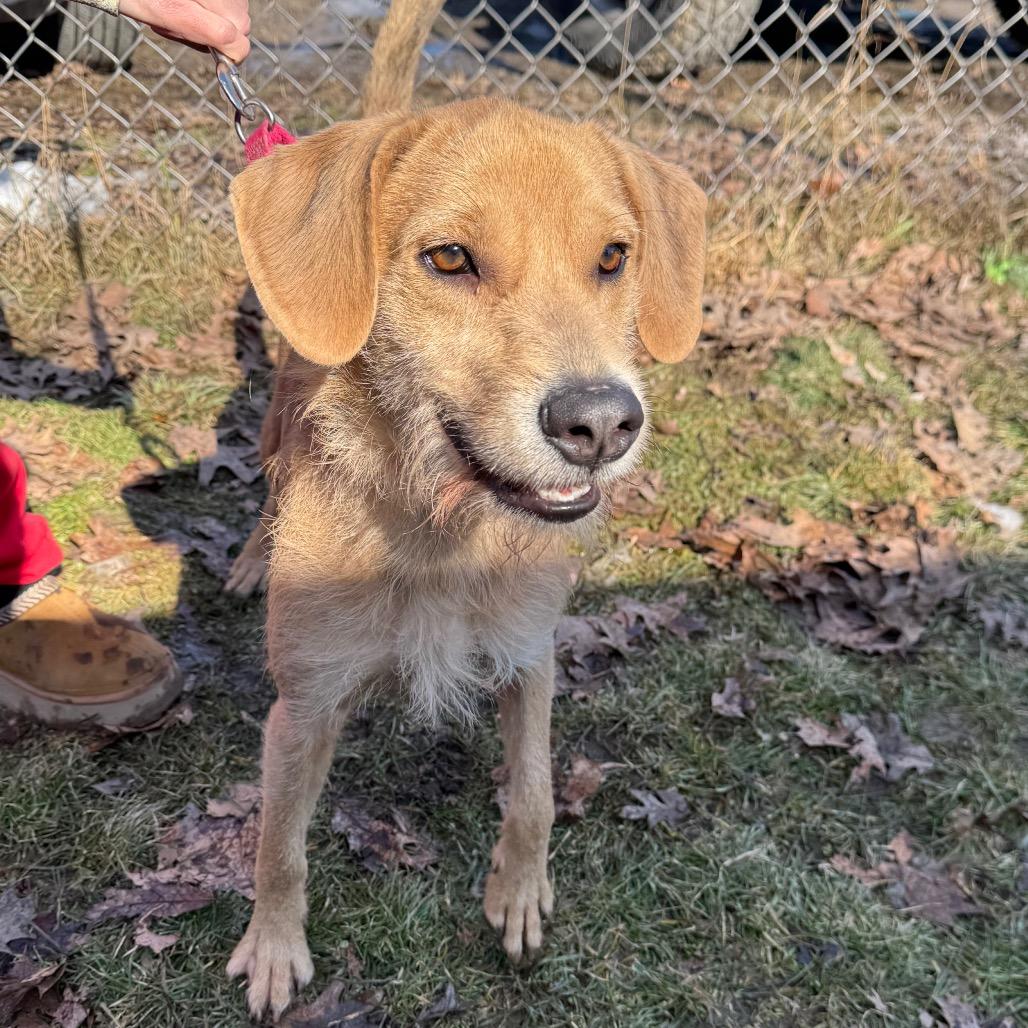 Seneca — thumbnail 4