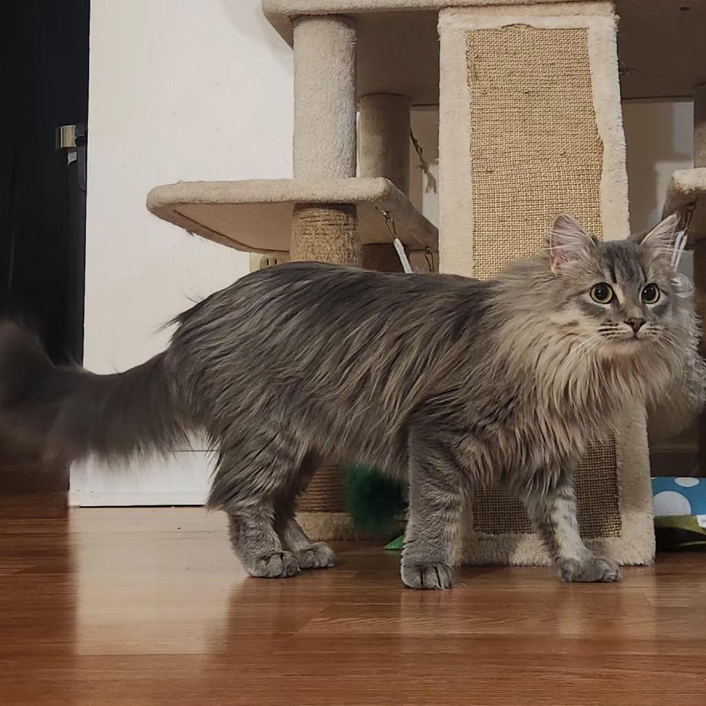 Tipsy — thumbnail 2