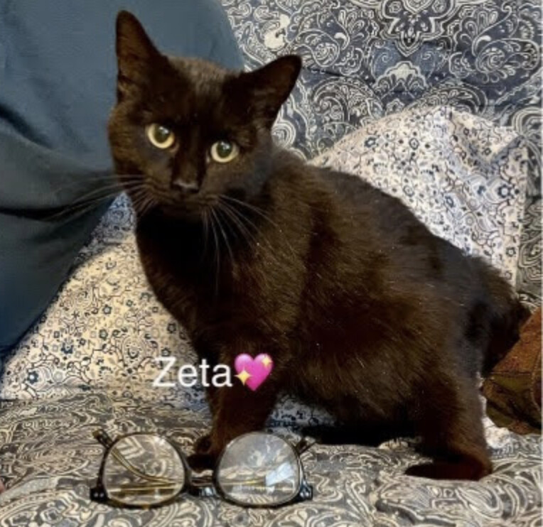 Zeta photo 4