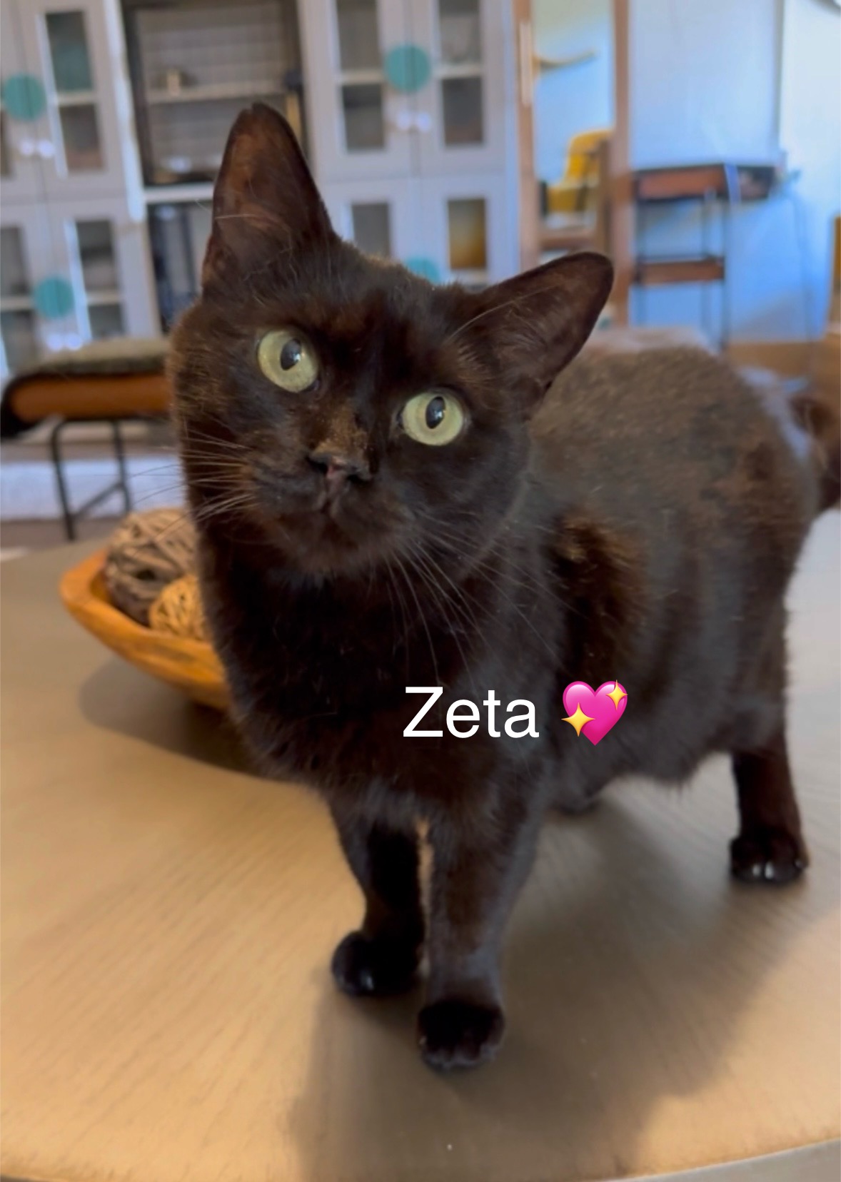 Zeta