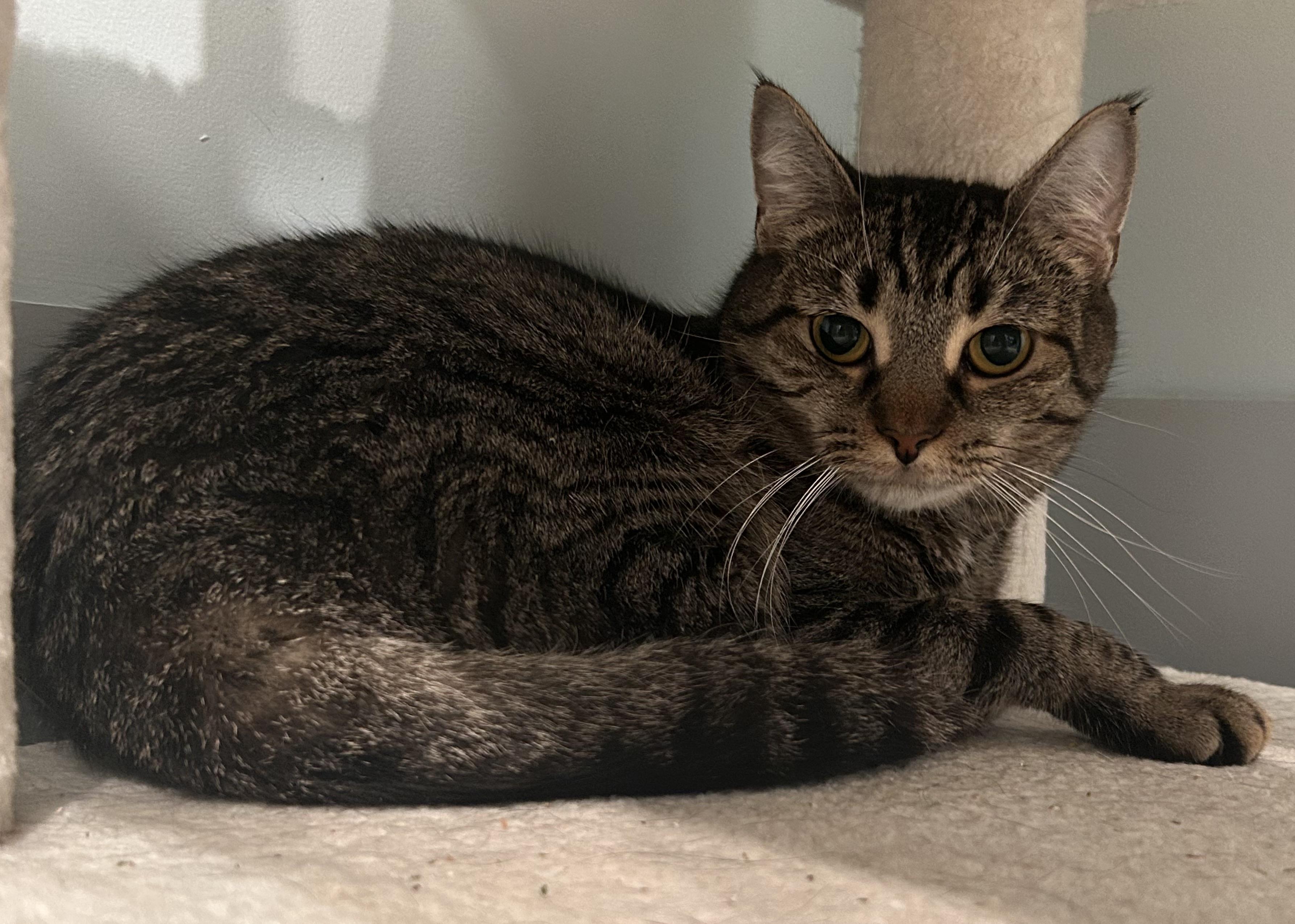 Donna — thumbnail 6