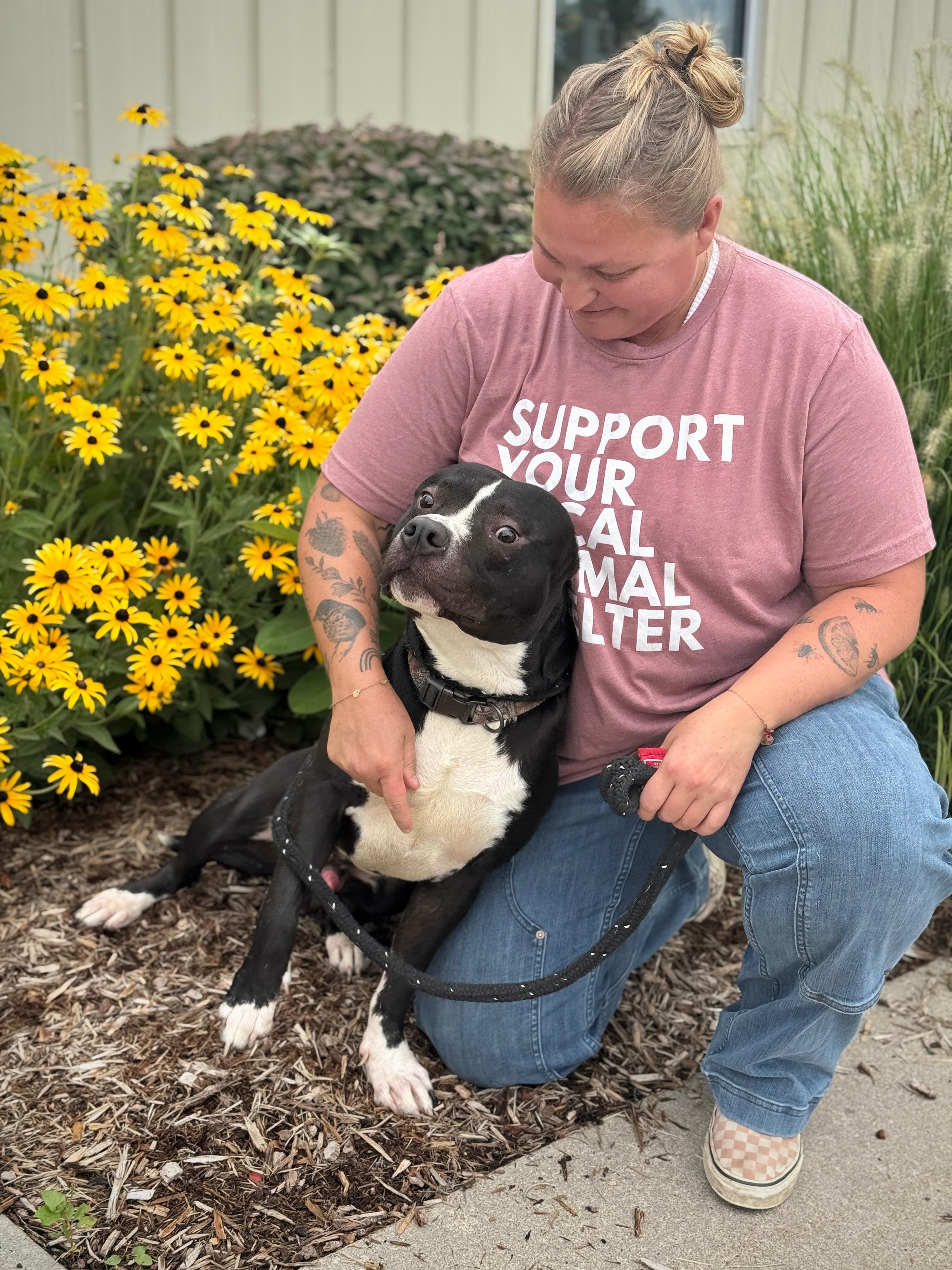 Thor, a Adoptable Mixed Breed in Benton Harbor, MI image 3/3