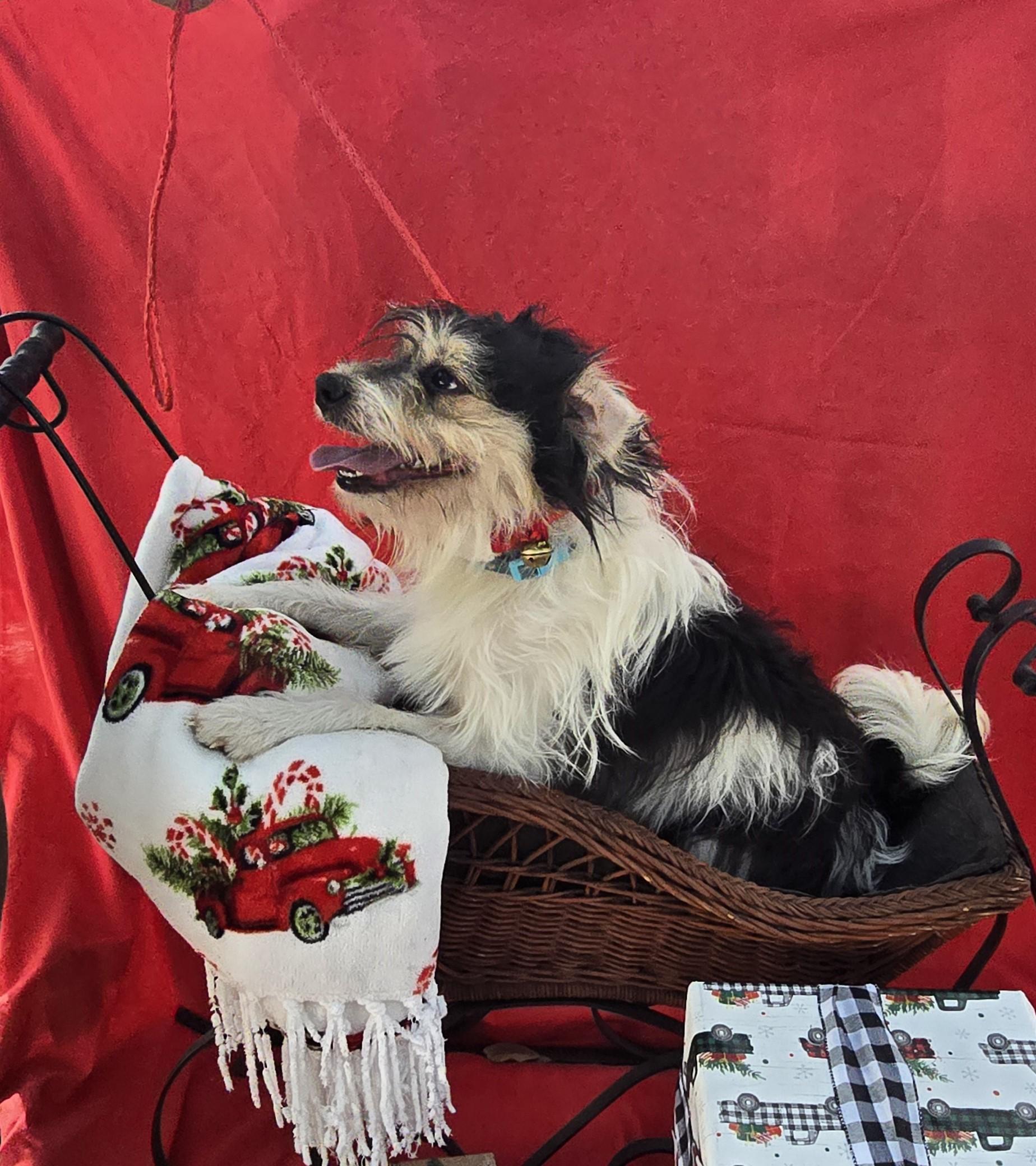 Jabari Ort thumbnail 2