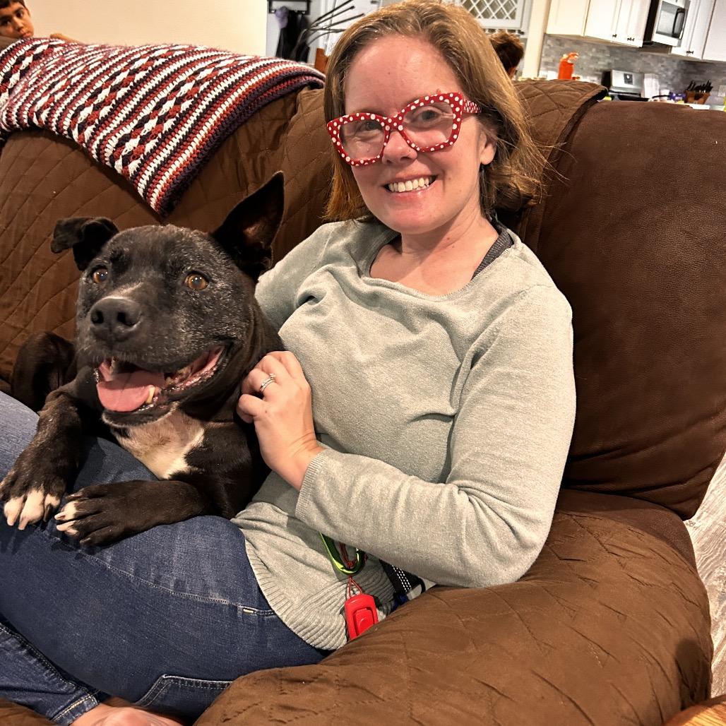 Gus, Adoptable, Senior Male Mixed Breed.