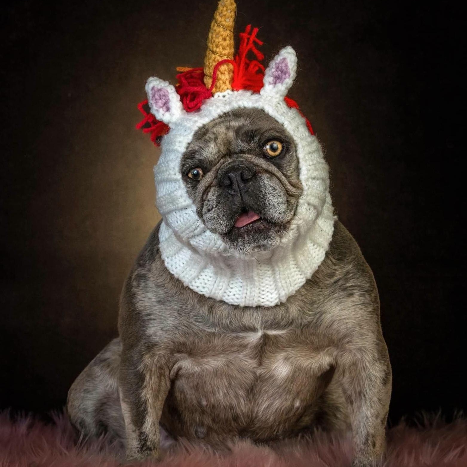 Enlarge Winnie, a Adoptable French Bulldog in Concord, CA image 3/3