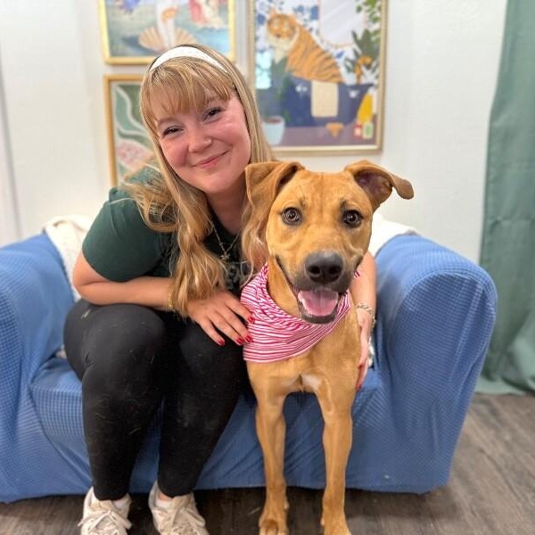 Bella Beauty Queen — thumbnail 2