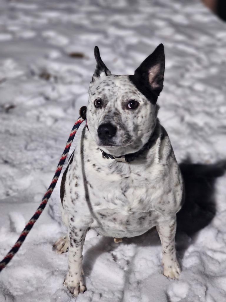 Lucky  Local thumbnail 2