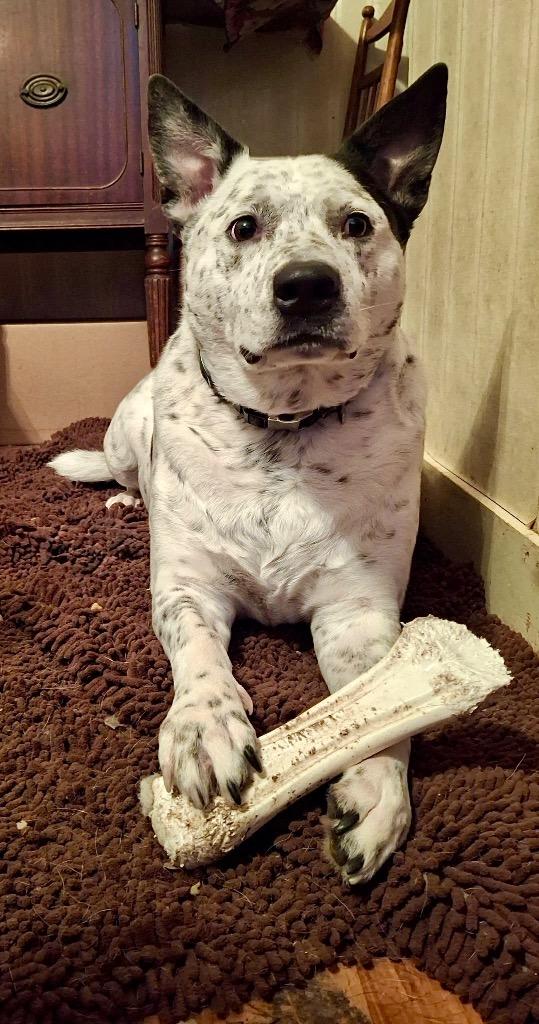 Lucky  Local thumbnail 3