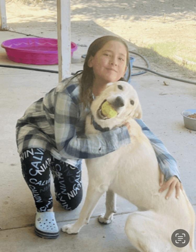 Buddy, a Adopted mixed breed in Beverly Hills, CA image 3/5