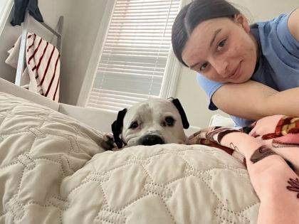 Enlarge Ozzie, a Adoptable Mixed Breed in Cincinnati, OH image 1/3