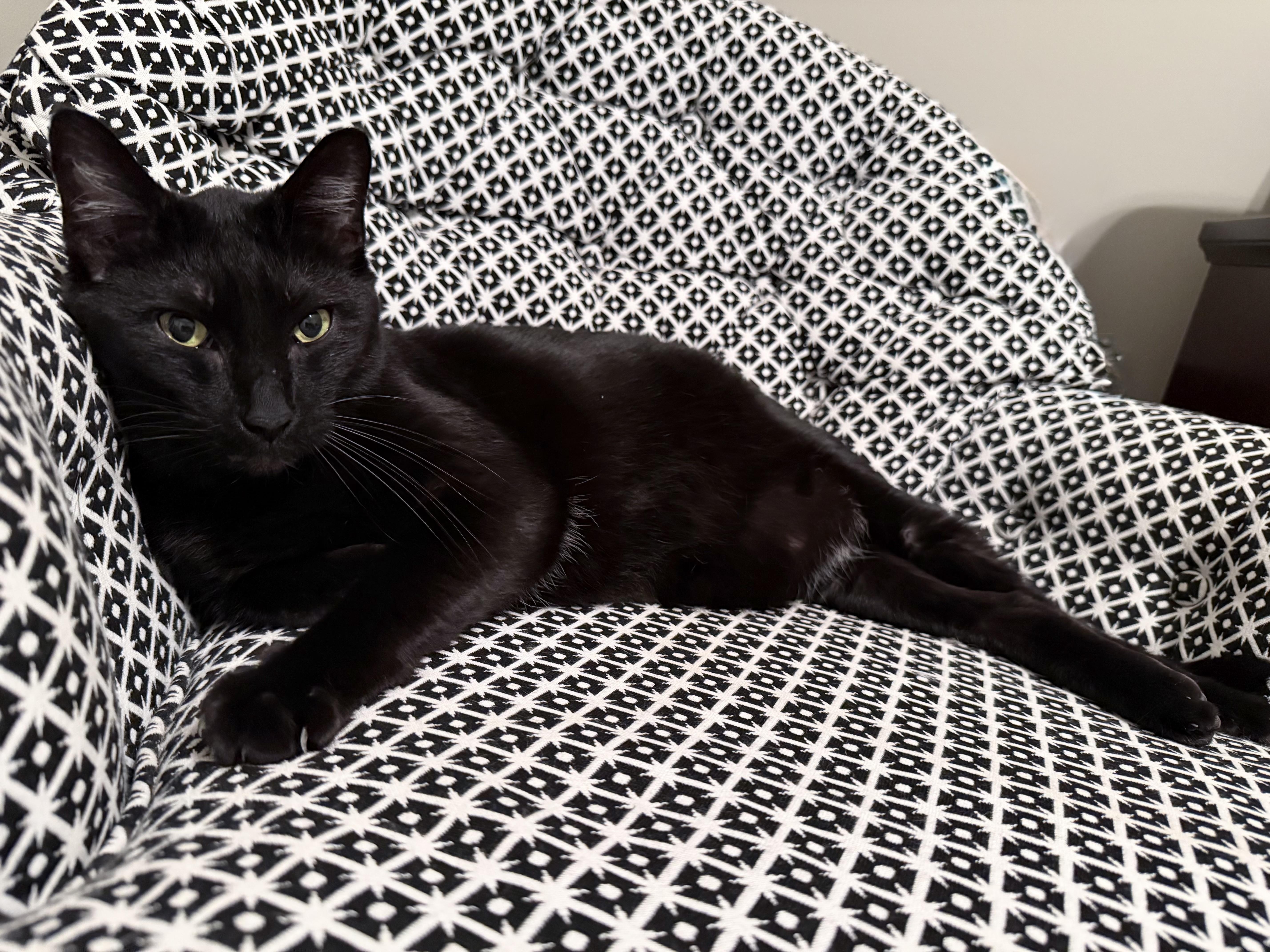 Gazebo — thumbnail 2