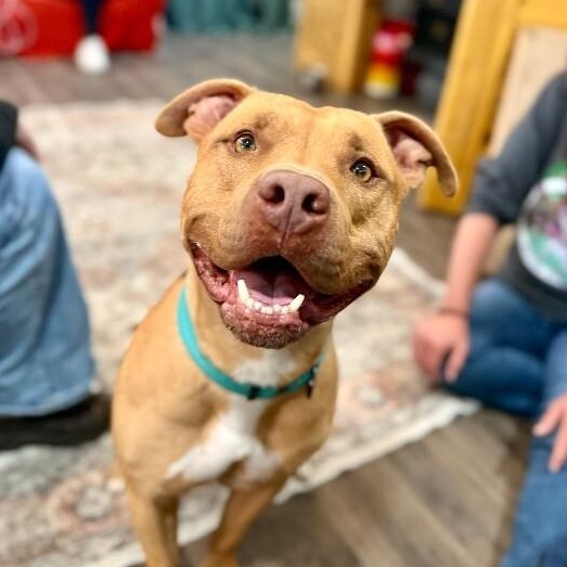 Buster Butters Softer than a Crescent Roll