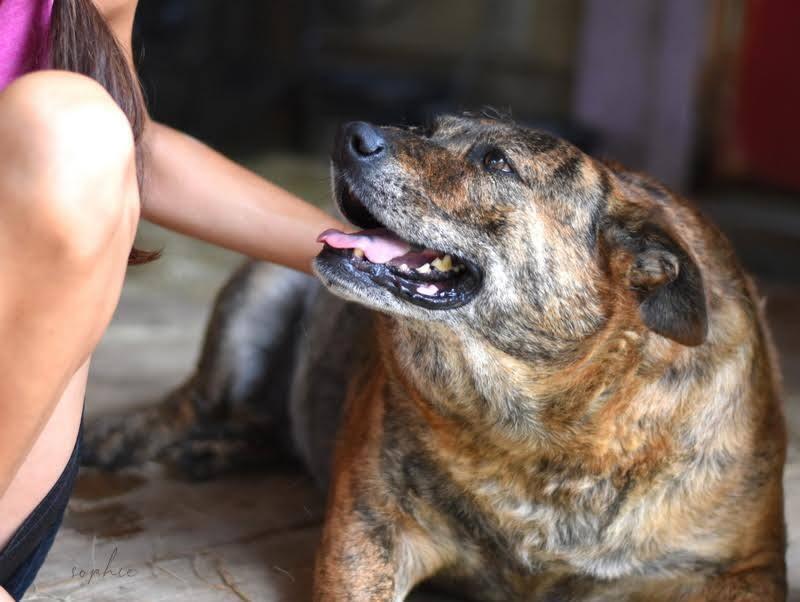 Sophie Rose thumbnail 3