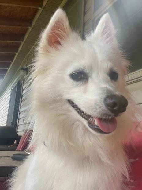 Estelle - St. Louis, MO