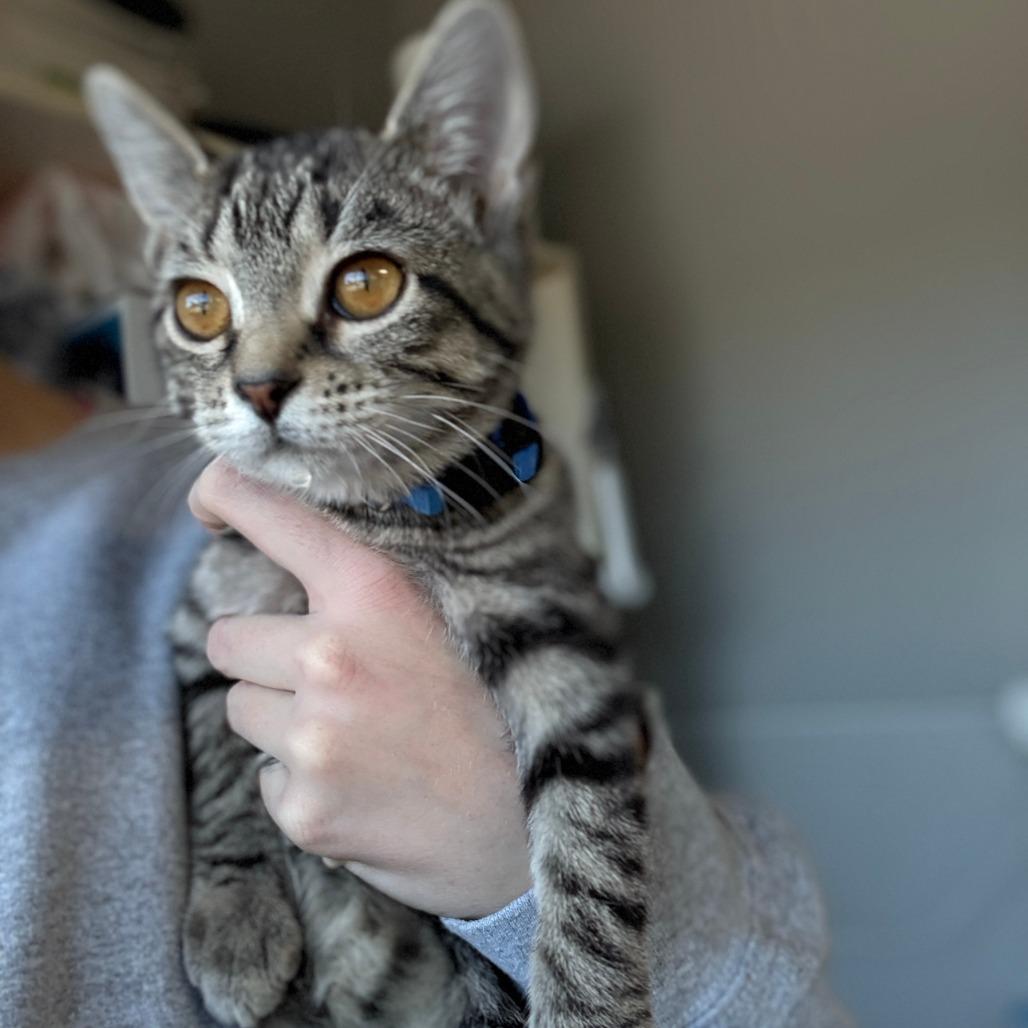 Cosmo