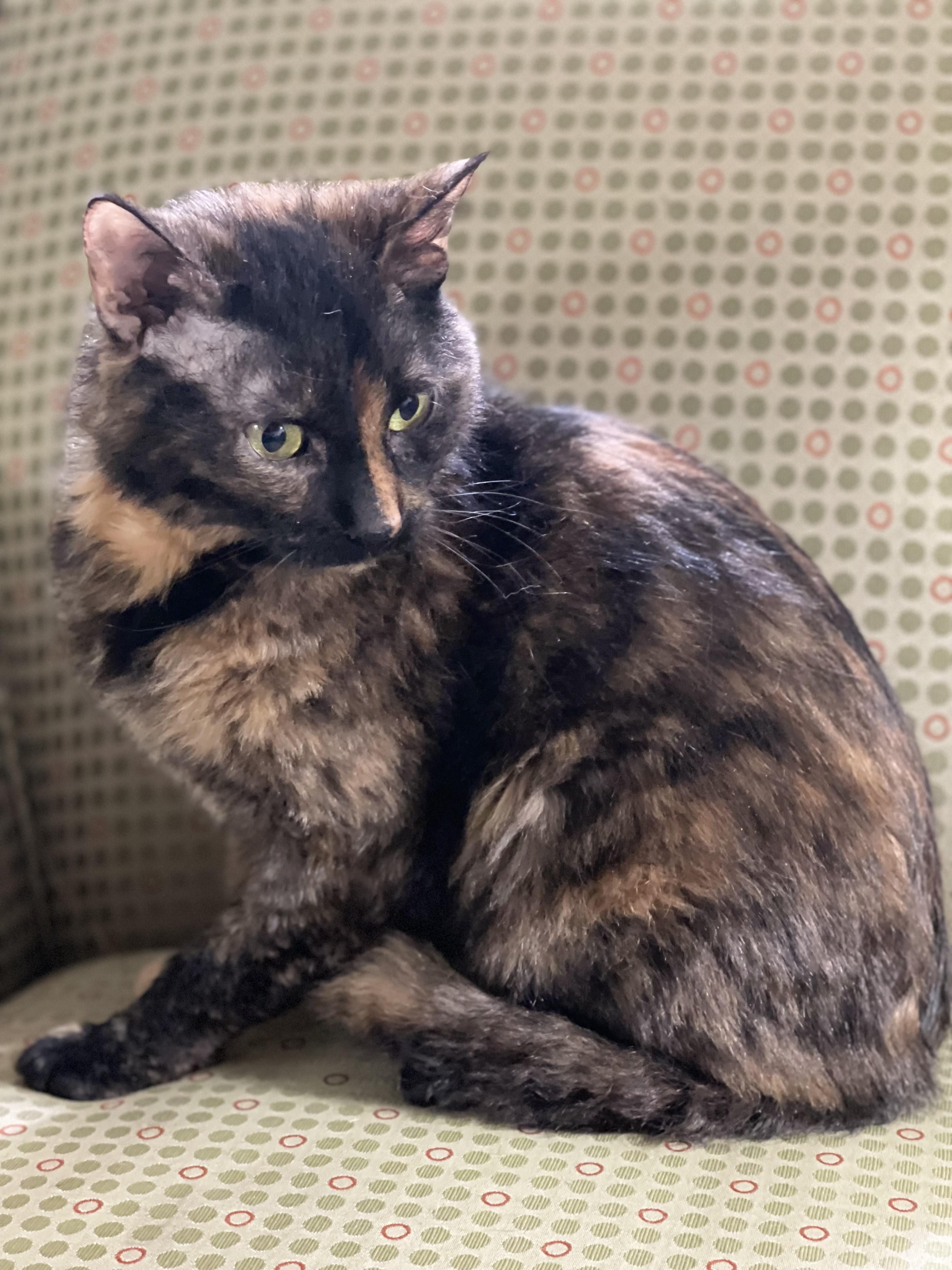 Java