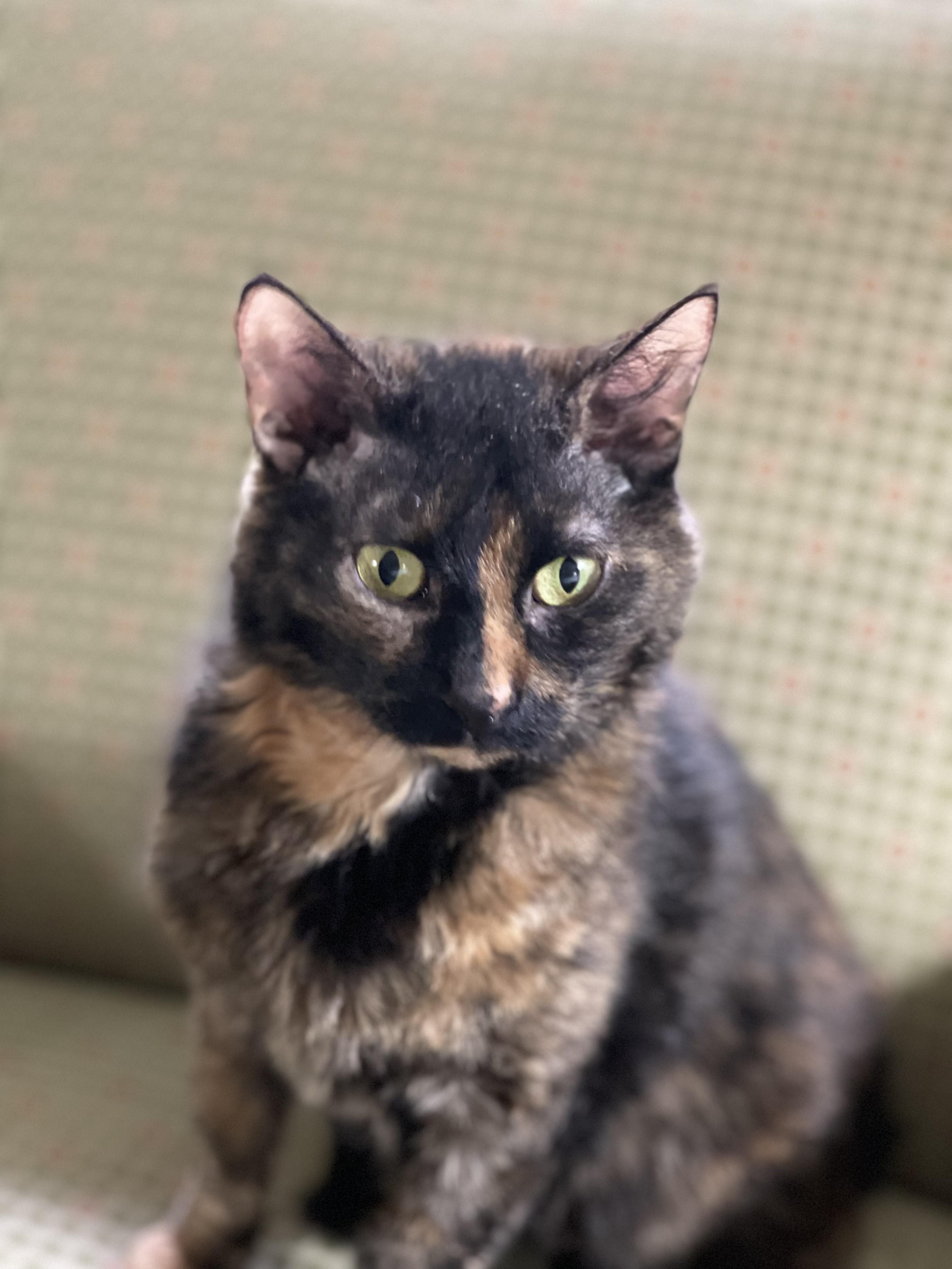 Java