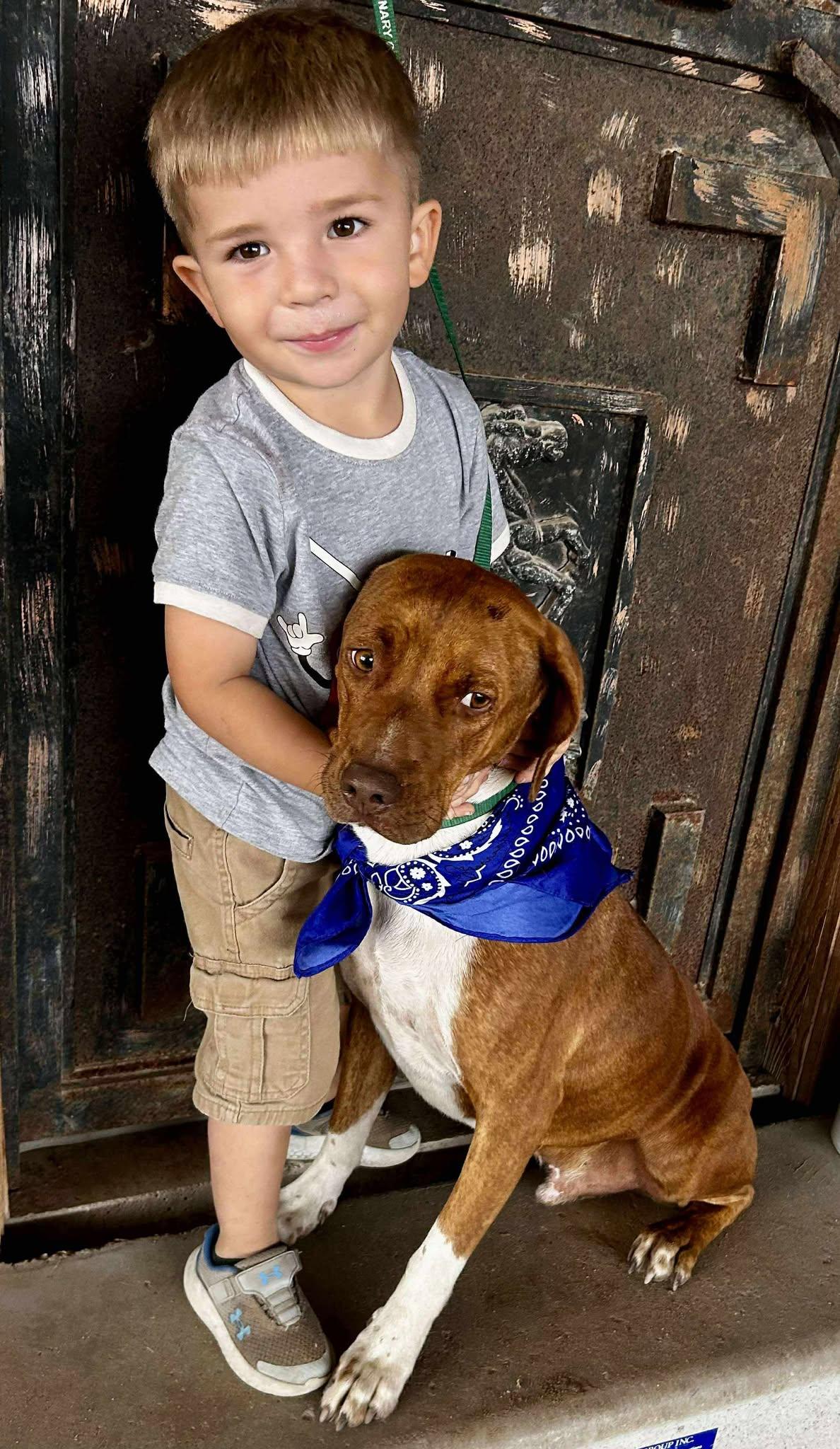 Enlarge Tux, a Adoptable mixed breed in Maumee, OH image 4/6