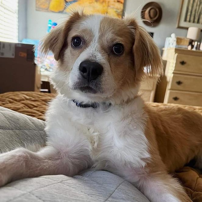 Bailey