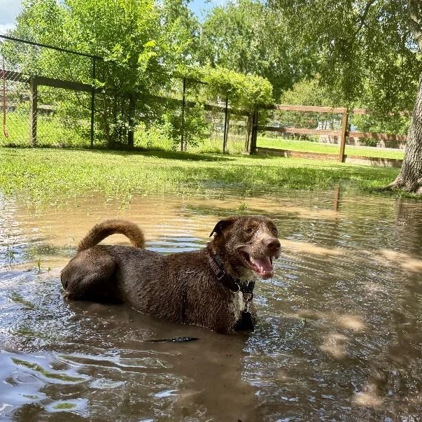 Silly Samson Splashes in the Day and cuddles at night! I — thumbnail 3