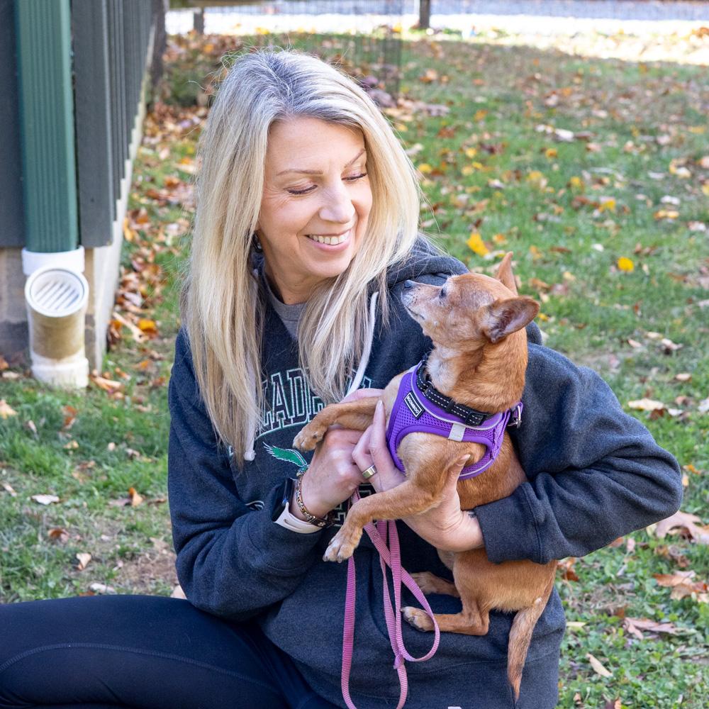 Elsie (Female), a Adoptable Chihuahua in West Grove, PA image 2/6