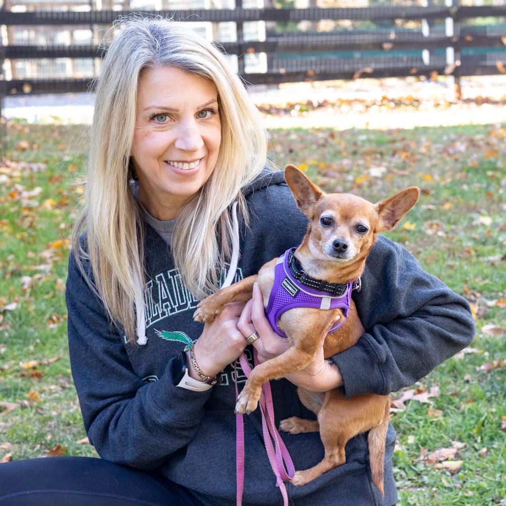 Elsie (Female), a Adoptable Chihuahua in West Grove, PA image 4/6