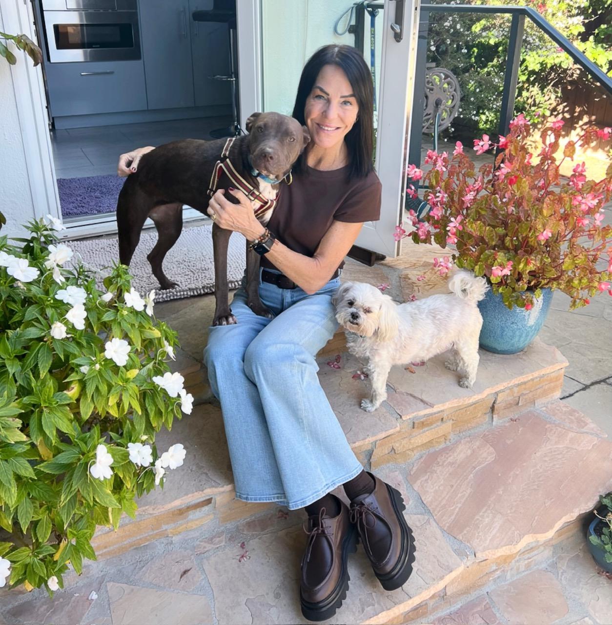 Janey - Bestest Girl! Video!, a Adoptable mixed breed in Toluca Lake, CA image 4/6