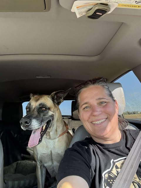 Chloe Sunshine, a ADOPTABLE mixed breed in San Antonio, TX image 2/6