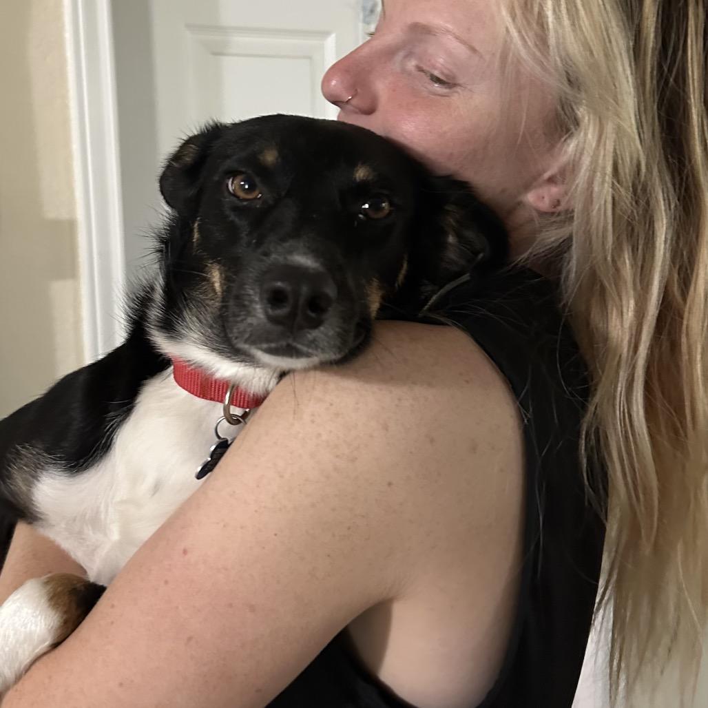 Enlarge Isadora, a Adoptable mixed breed in Boerne, TX image 2/5