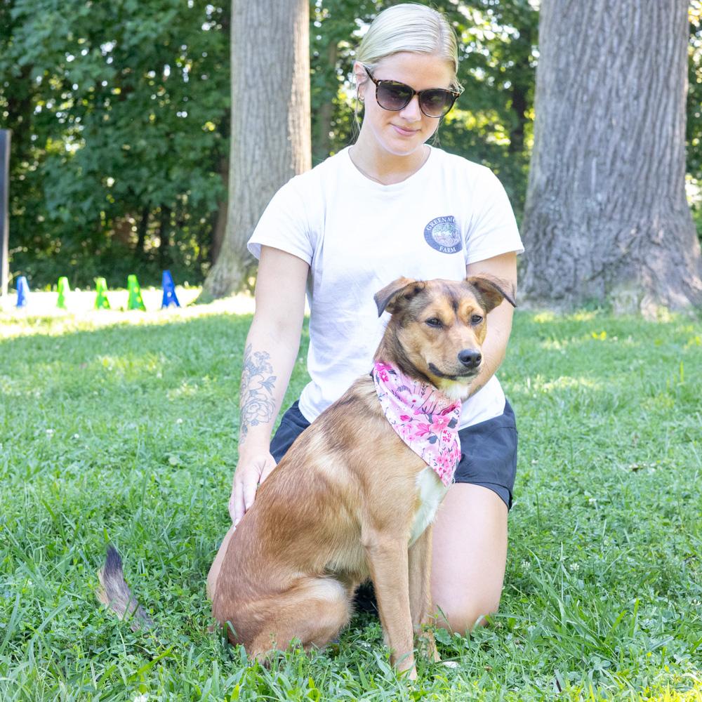 Enlarge Pippa (Female), a Adoptable mixed breed in West Grove, PA image 6/6