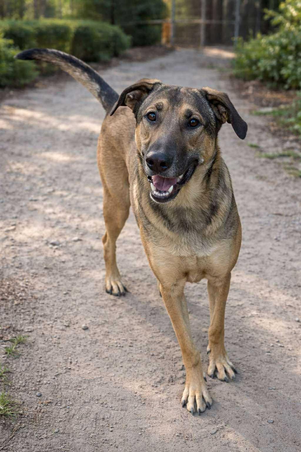 Huckleberry (20250826-01) — thumbnail 2