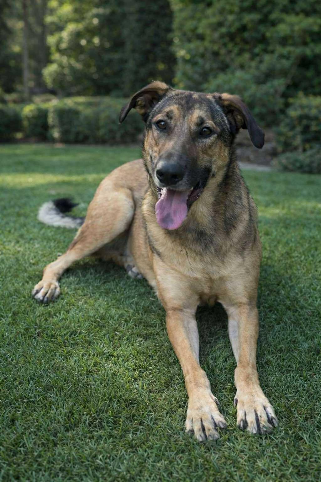 Huckleberry (20250826-01) — thumbnail 3