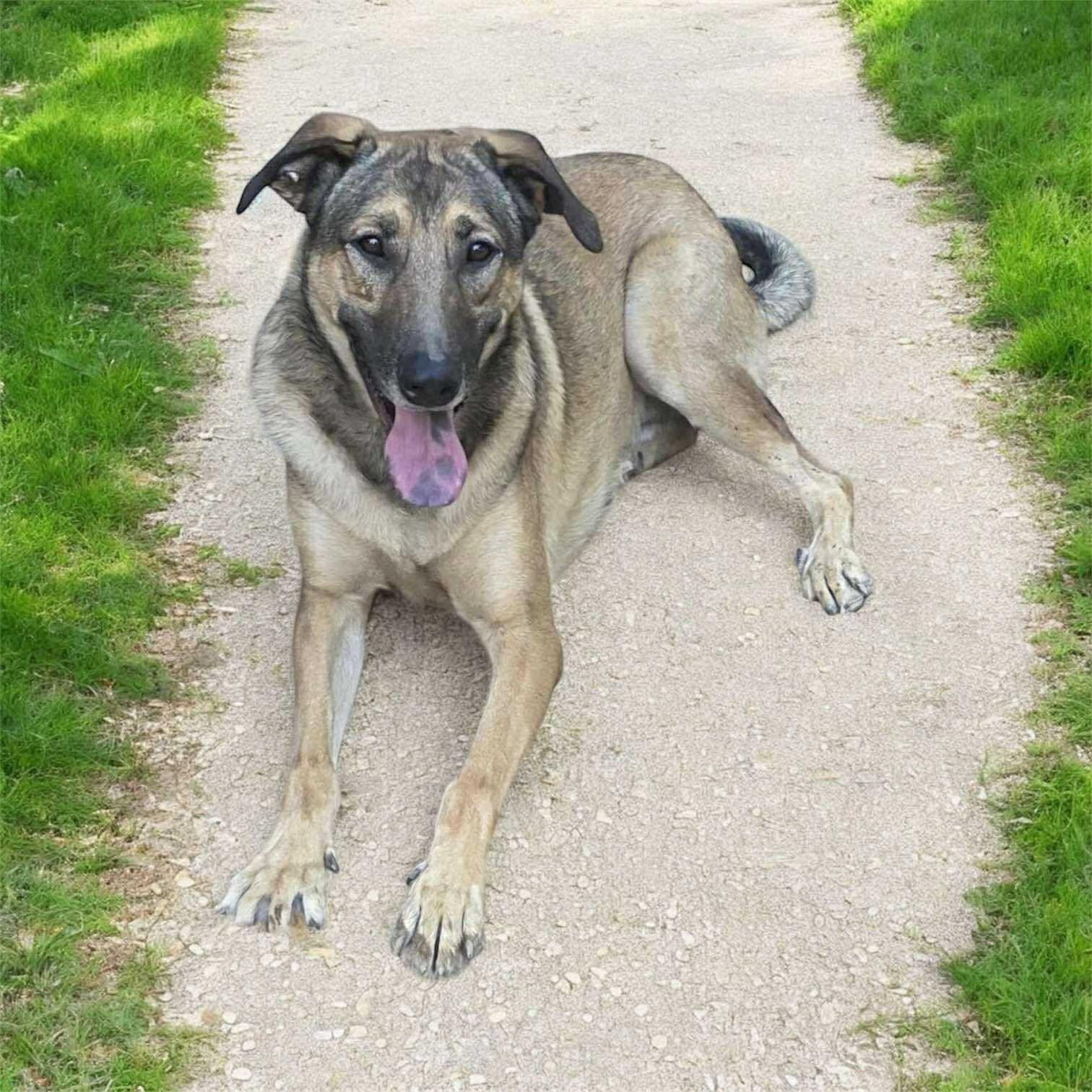 Huckleberry (20250826-01) — thumbnail 5