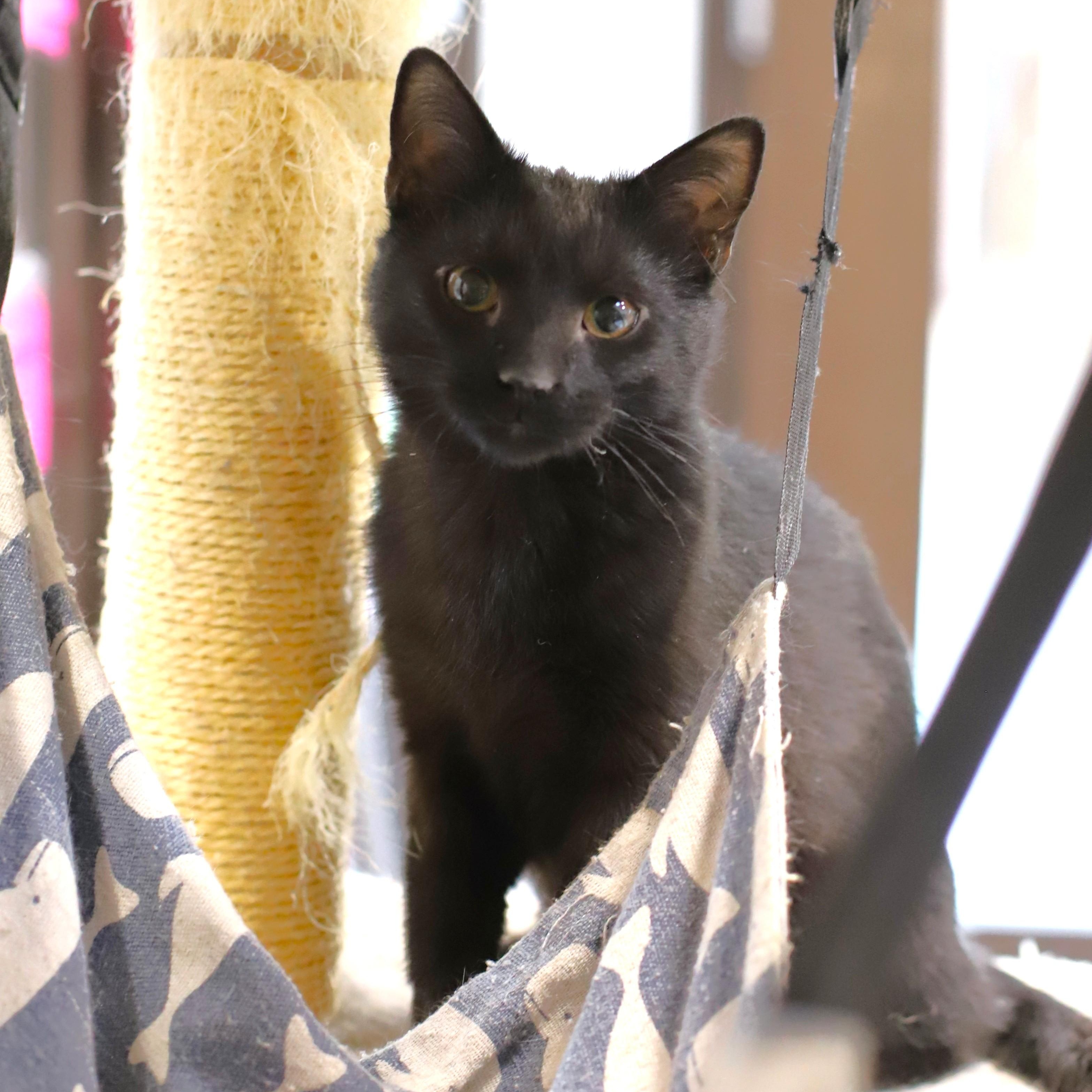 Fiyero photo 4