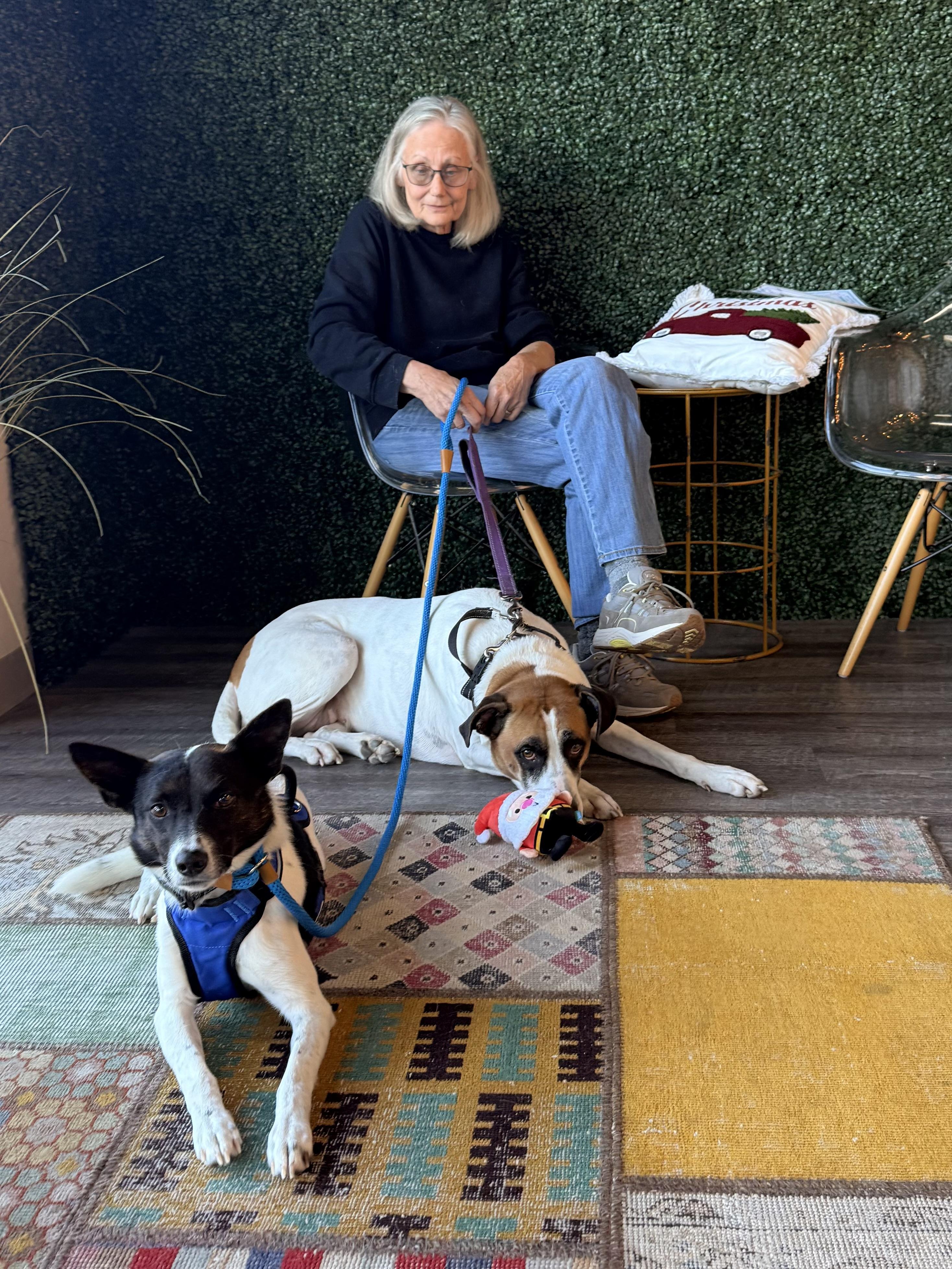 Lady — thumbnail 4