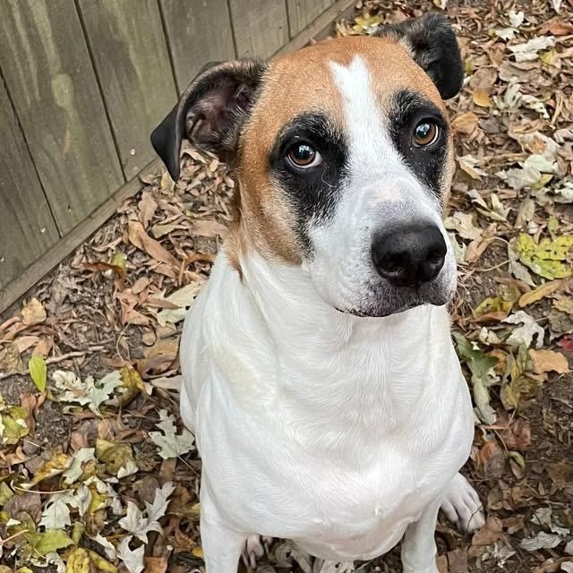 Lady — thumbnail 5