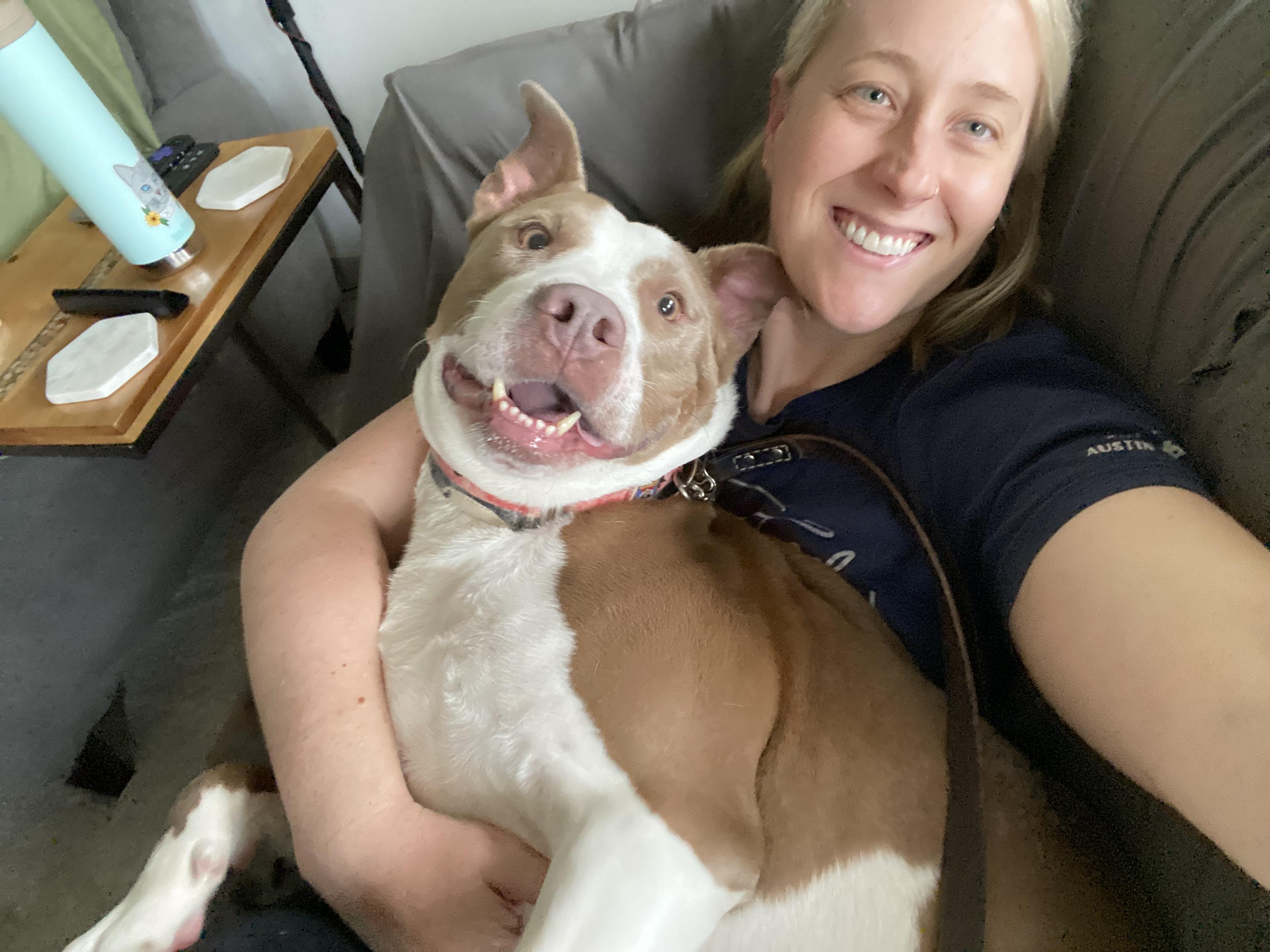 Jonah, an adoptable Pit Bull Terrier in Kansas City, MO, 64141 | Photo Image 3