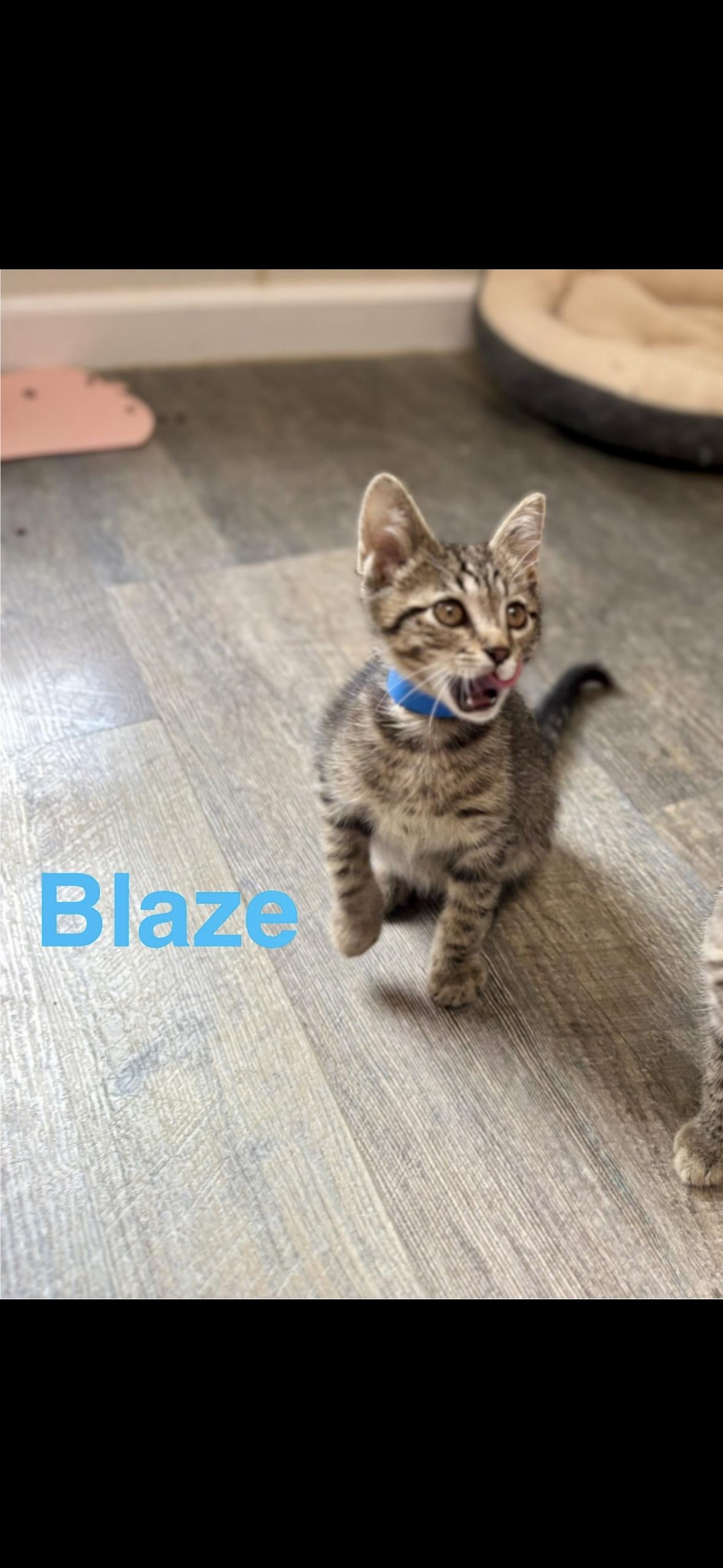 Blaze