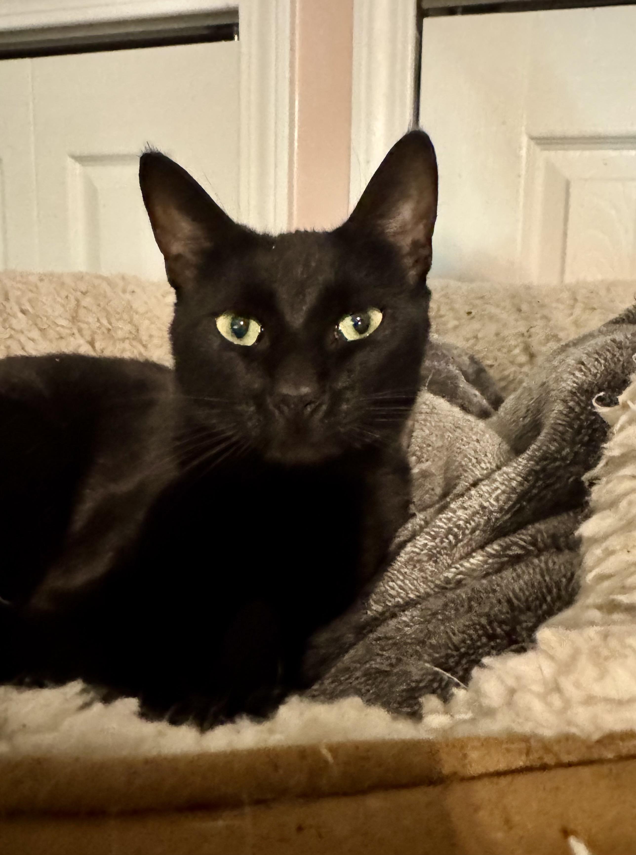 Salem