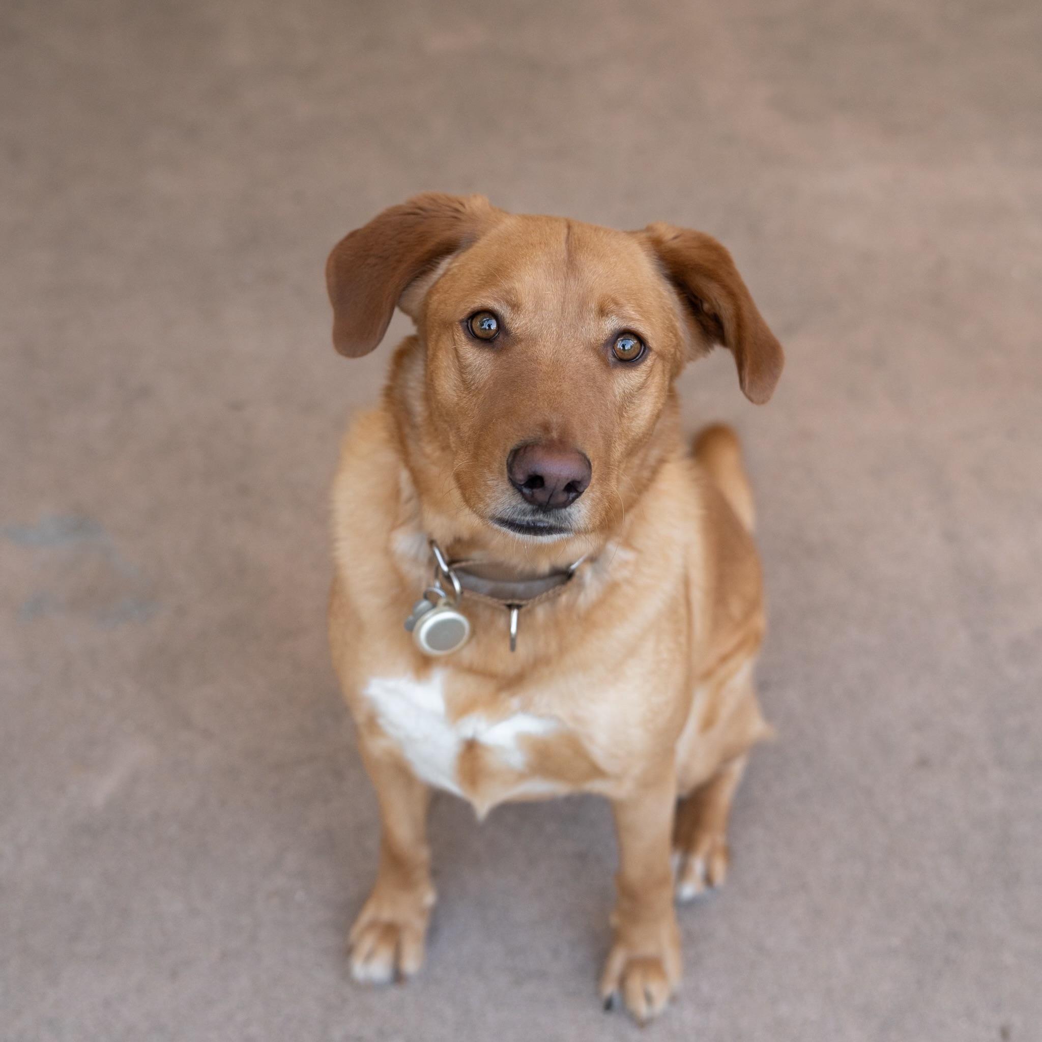 Cooper