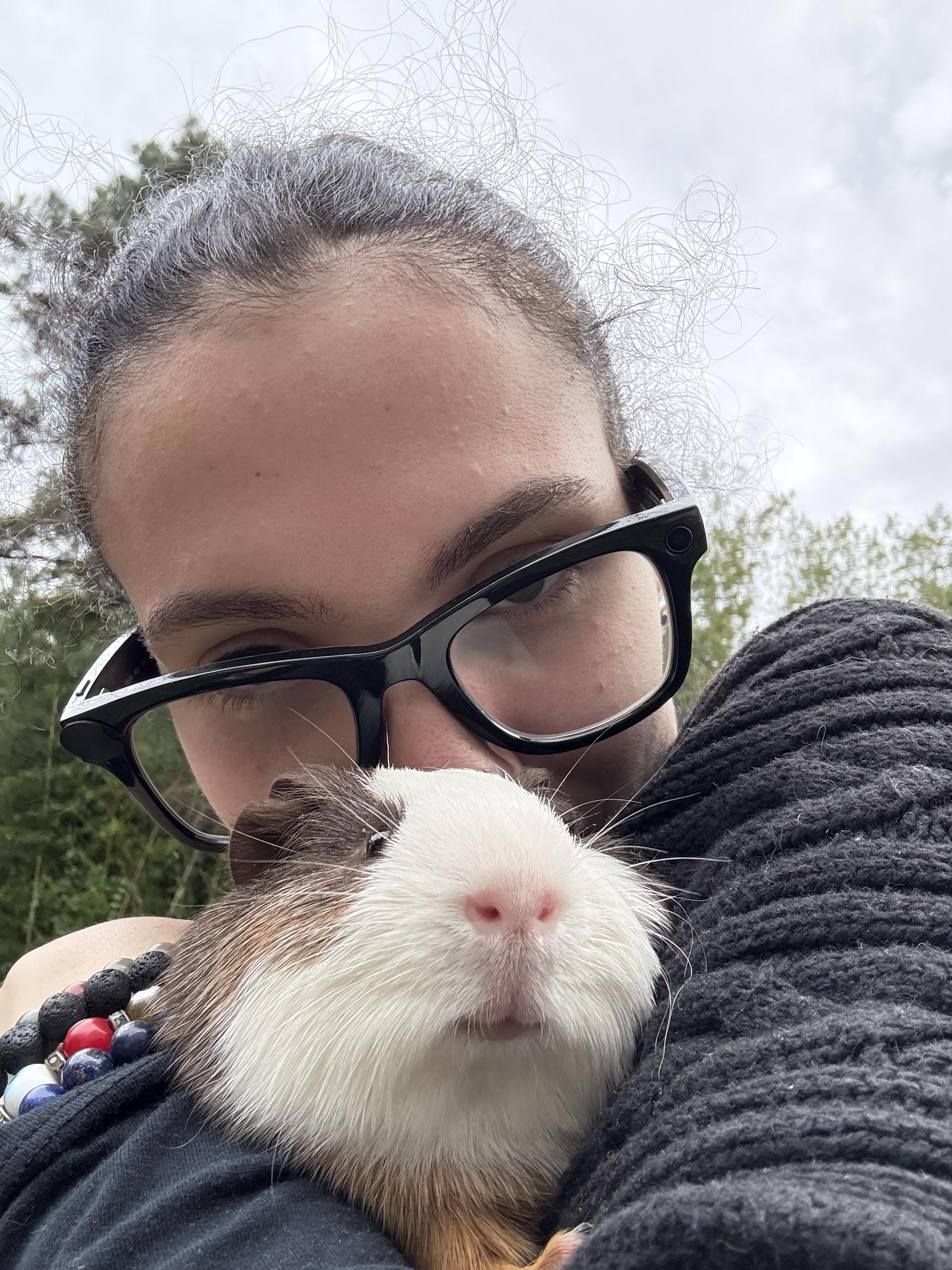 Enlarge S’mores, a Adopted Guinea Pig in JACKSON, NJ image 6/6