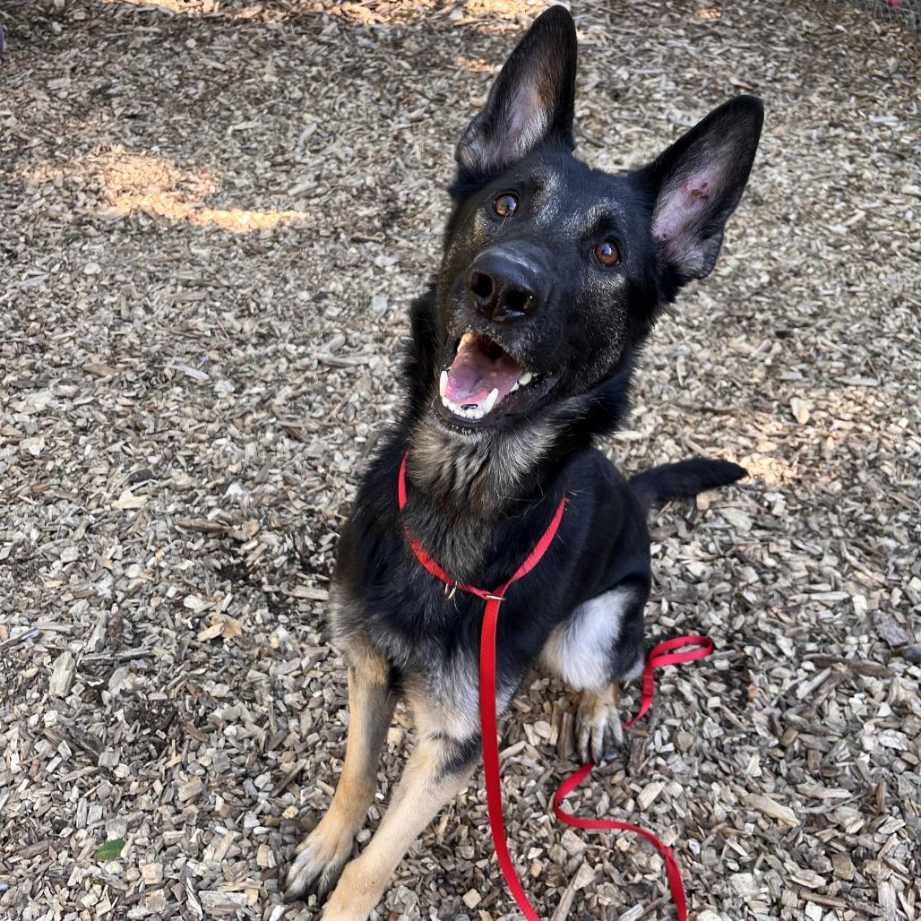 Xena