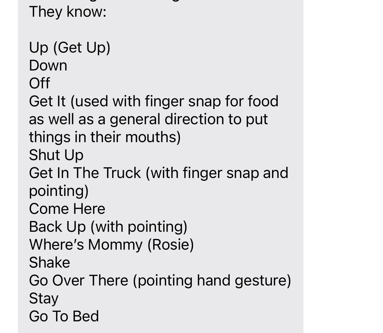 Enlarge Rosie, a Adoptable Rottweiler in Puyallup, WA image 2/4