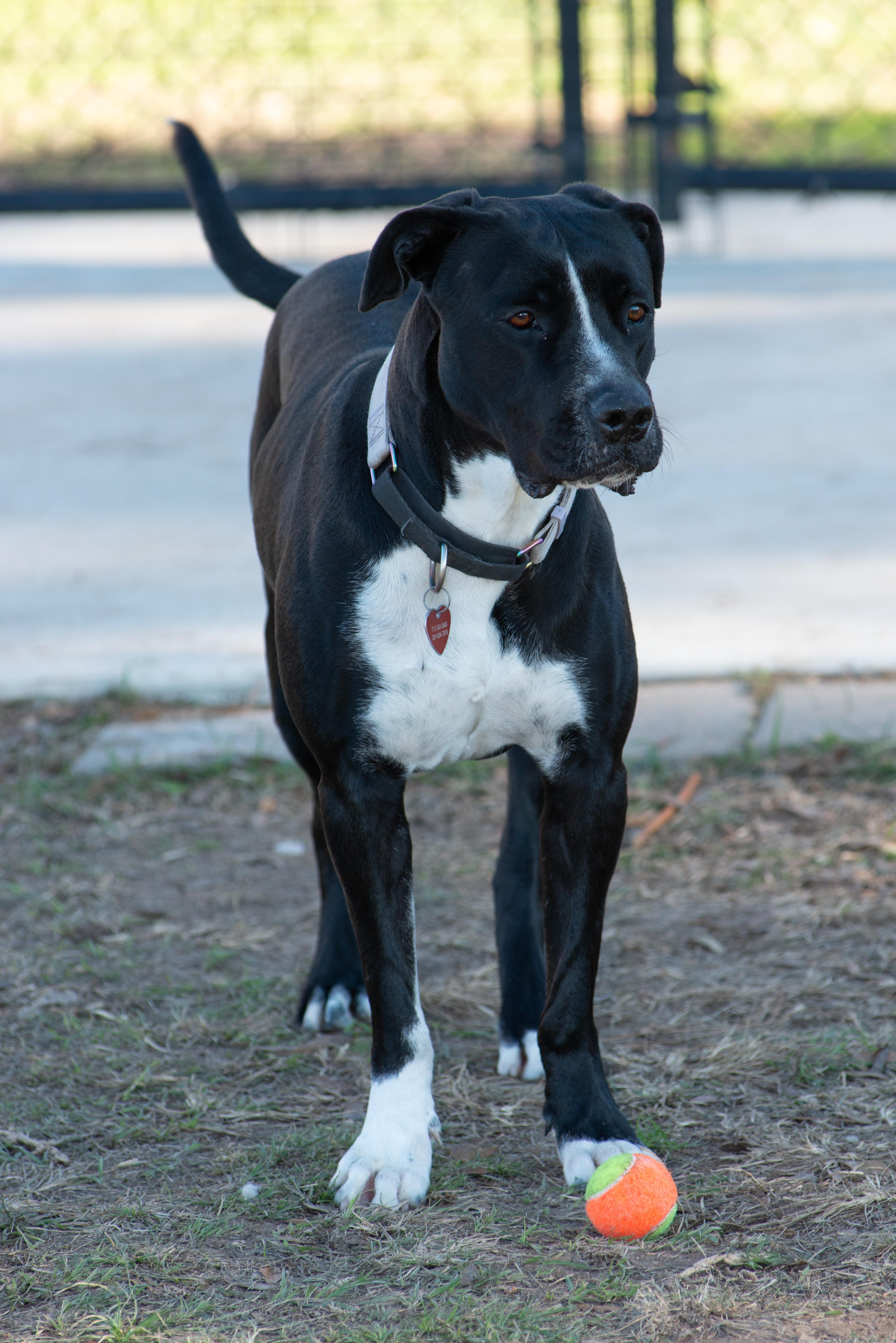 Rosie Beth photo 6