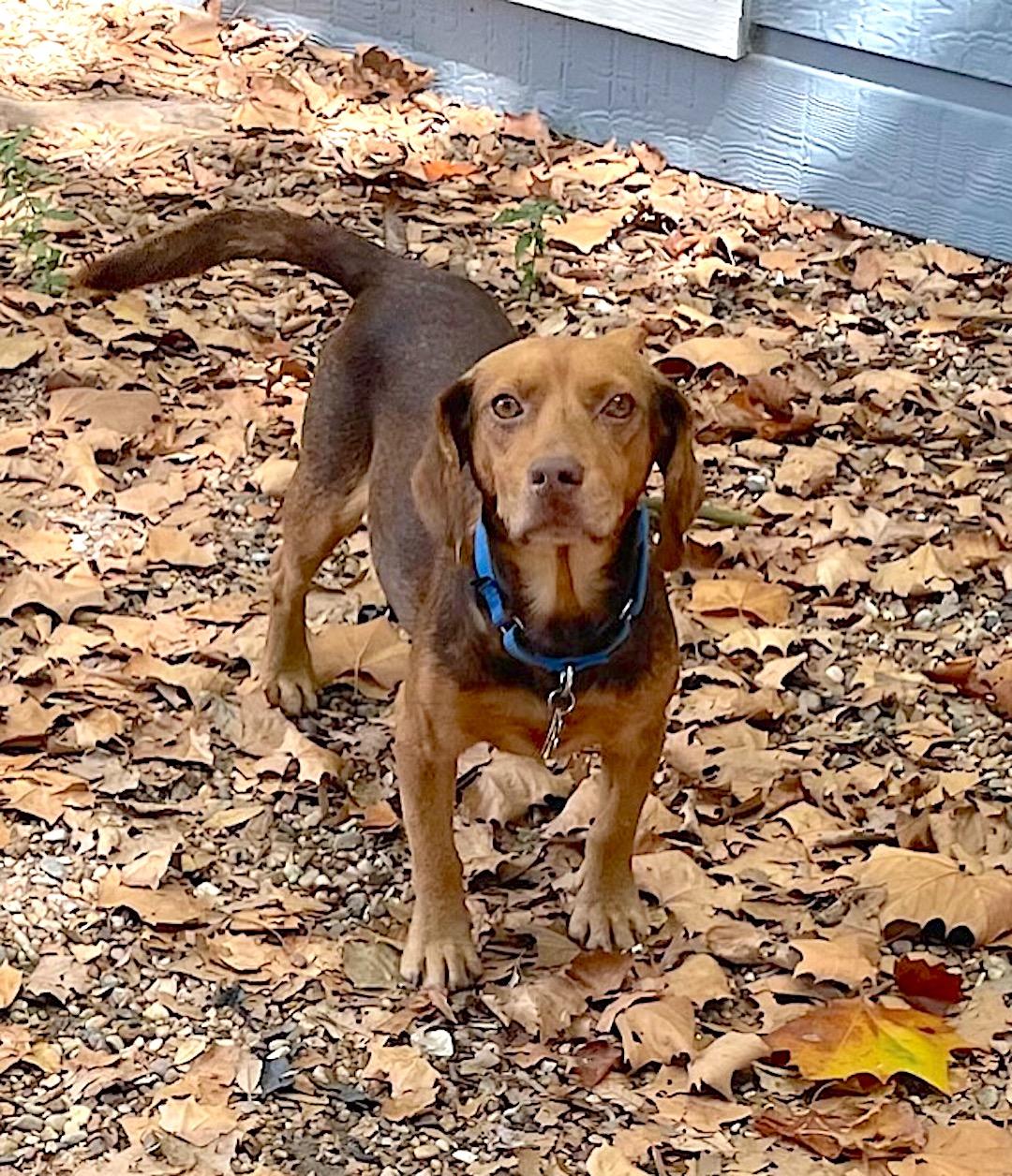 Amos — thumbnail 2