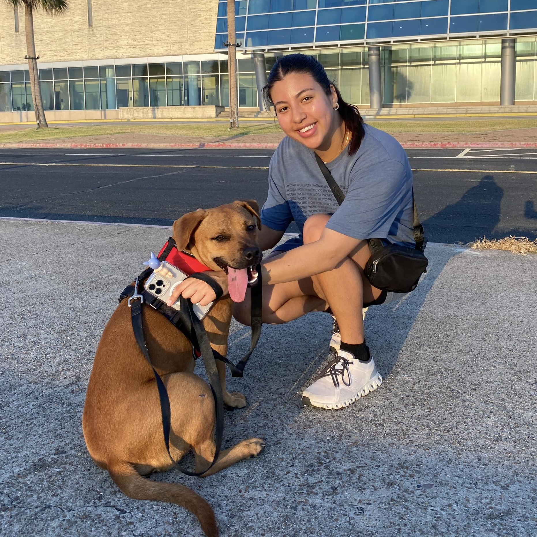 Bruno — thumbnail 6