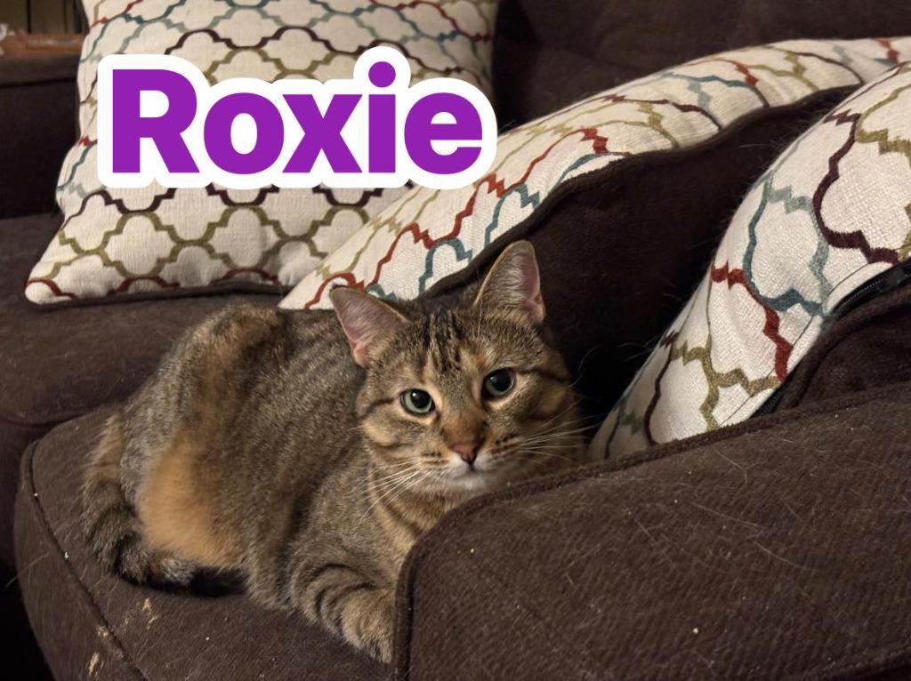 Roxie — thumbnail 6