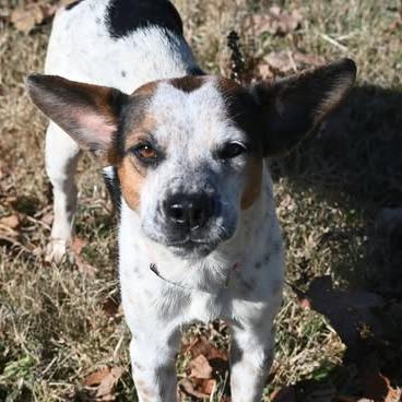 Edith (Little) photo 4