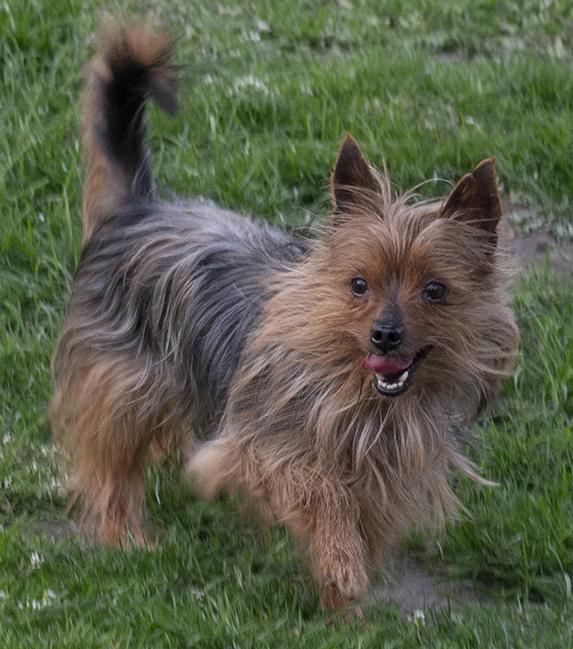 Geoffrey photo 1